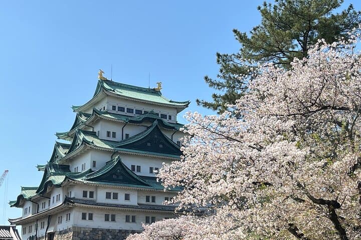 Nagoya Private Guided Tour — Best & Hidden Gems in 6 Hours photo 2