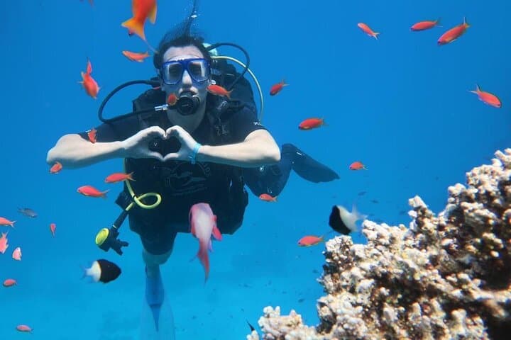 Introductory Red Sea Dive from Sharm El Sheikh: Beginner-Friendly Reef Experience photo 2