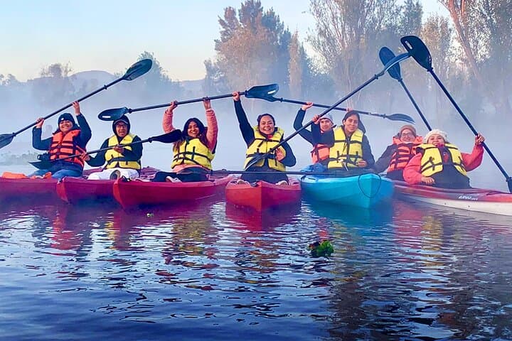 Sunrise Kayak Tour in Xochimilco Canals: Paddle Through Chinampas & Isla de las Muñecas photo 5