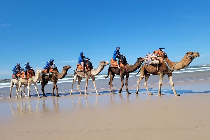 Essaouira 1-Hour Camel Ride on the Beach — Discovery Tour photo 4