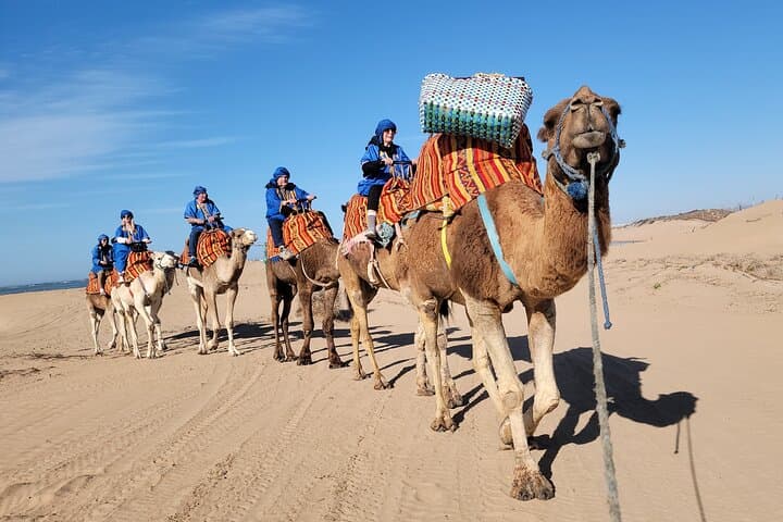 Essaouira 1-Hour Camel Ride on the Beach — Discovery Tour