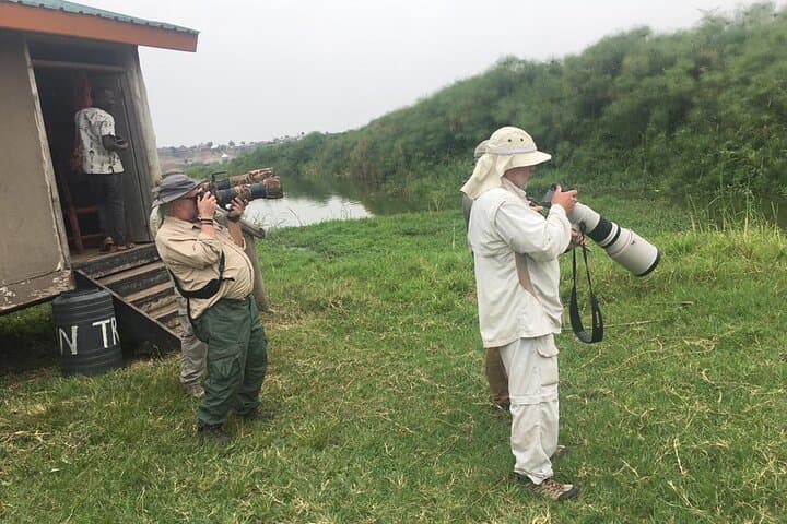 Mabamba Swamp Shoebill Tracking: 1-Day Canoe Birding from Kampala photo 5