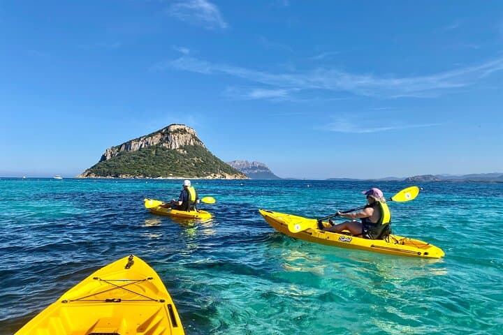 Golfo Aranci Kayak Tour: Dolphins, Figarolo & Aperitif photo 4