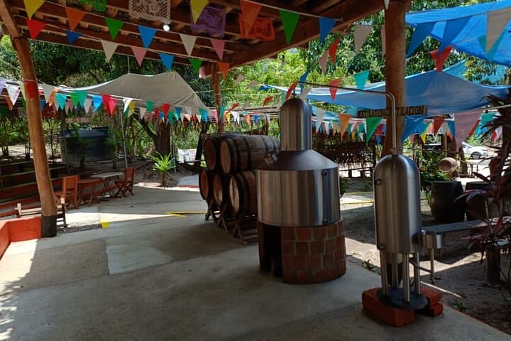 Half-Day Private Tour in Puerto Vallarta: Tequila Factory & City Highlights photo 5