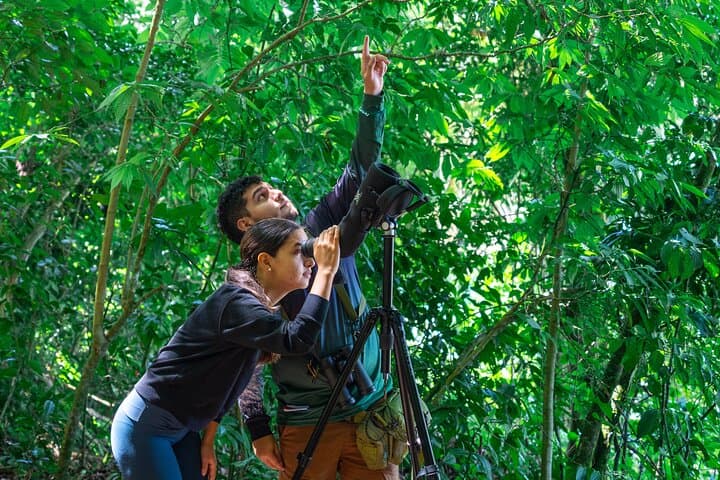 Curi Cancha Reserve Guided Walk: Monteverde Cloud Forest Birding & Wildlife photo 3