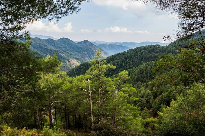 Caledonia Waterfalls Hike from Paphos: 3km Stream Trail & Trout Lunch photo 5