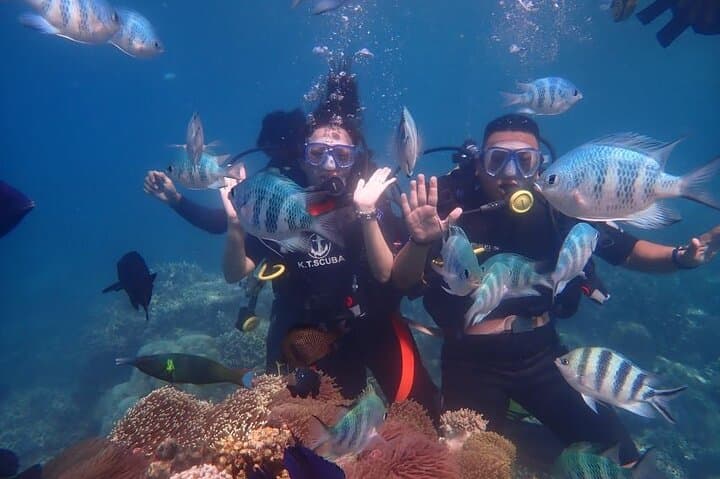 Beginner Scuba Diving Day Trip in Nha Trang: Two Dives at Hon Mun