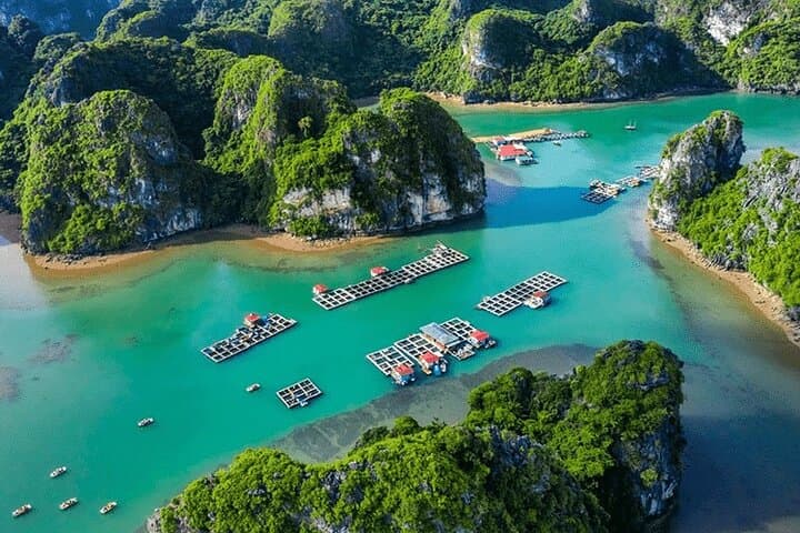 Halong Bay 4-Hour Cruise: Kayak, Thien Cung Cave & Ba Hang Village photo 3