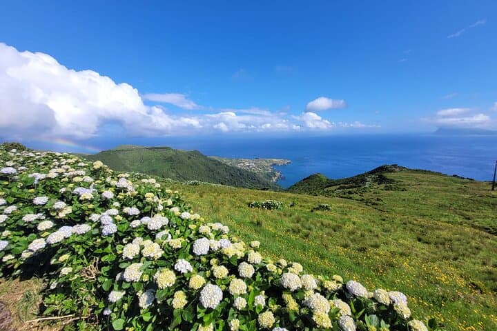 Complete Tour of Flores Island — Waterfalls, Caldeiras & Coastal Lookouts