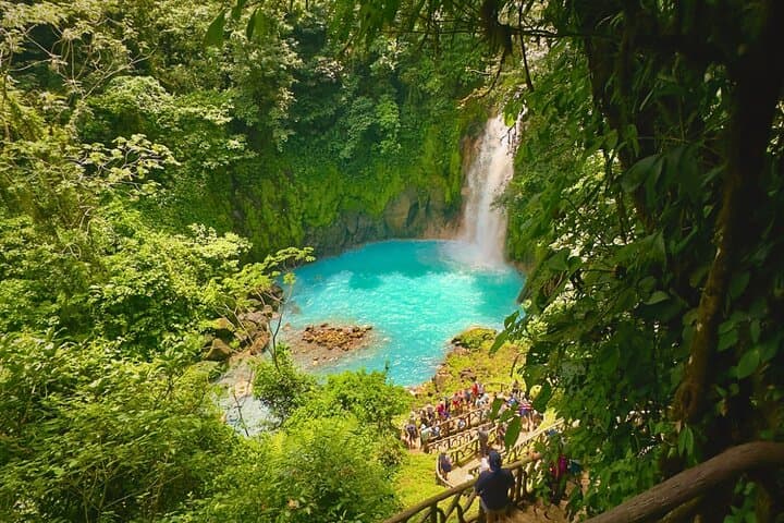 Rio Celeste Expedition: Waterfall Hike, Sloth Viewing & Coffee Culture in Tenorio photo 5