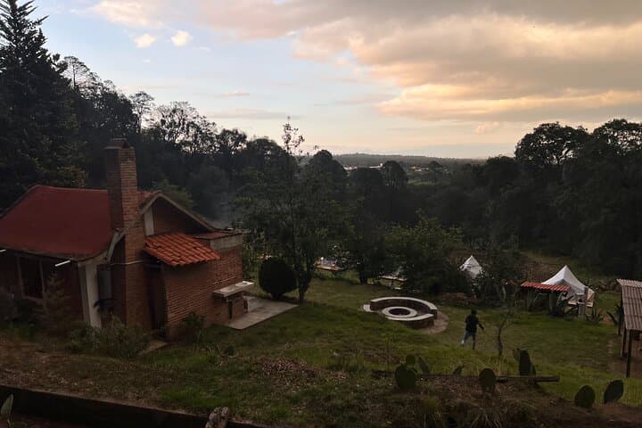 Private Night Tour to Firefly Sanctuary from Mexico City — Guided Walk & Return Transfer photo 6