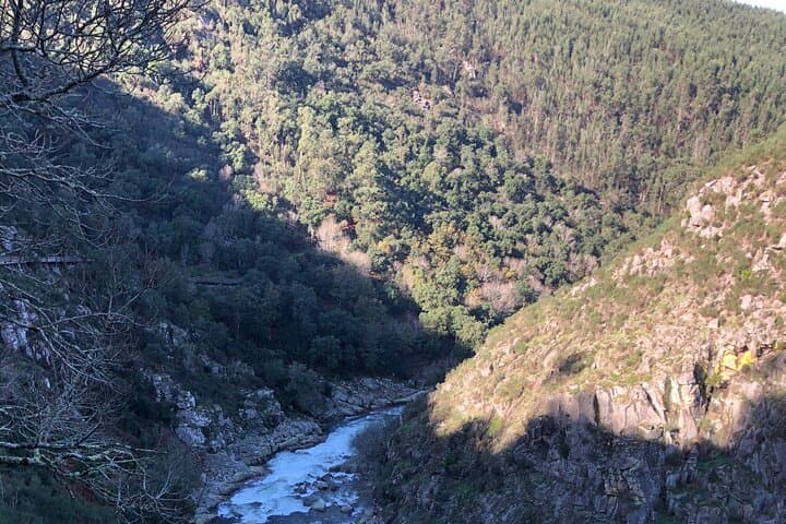 Paiva Walkways & 516 Arouca Bridge: Trek the Arouca Geopark's Cliffside Walkways photo 6