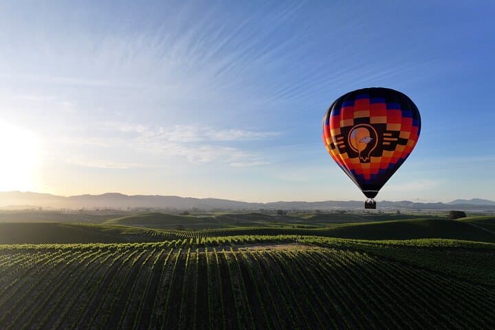 Private Sonoma Hot Air Balloon Flight with Sparkling Wine Toast photo 3
