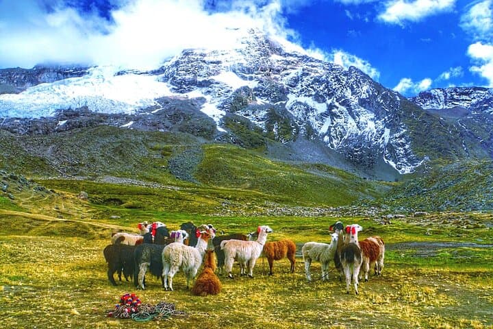 Full-Day Rainbow Mountain Hike from Cusco: Vinicunca's High-Andean Colors photo 4