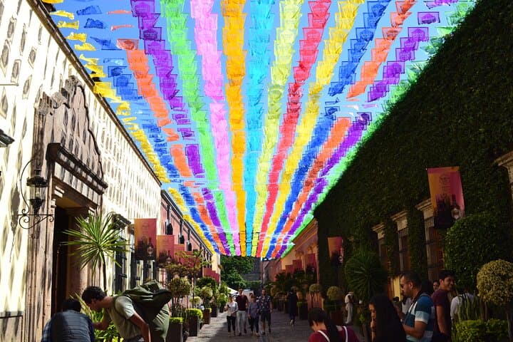 Day Trip to Tequila: José Cuervo Distillery, Agave Fields & Tasting from Puerto Vallarta