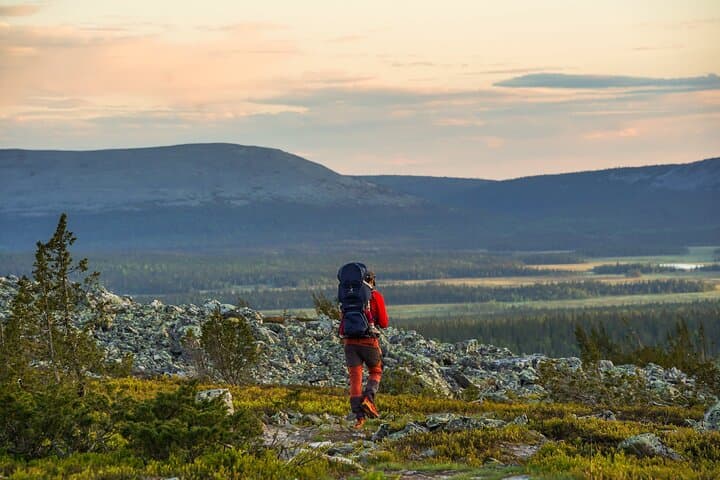 Arctic Wilderness Sunset Hike from Rovaniemi — Midnight Sun, Firecraft & Survival Skills photo 5