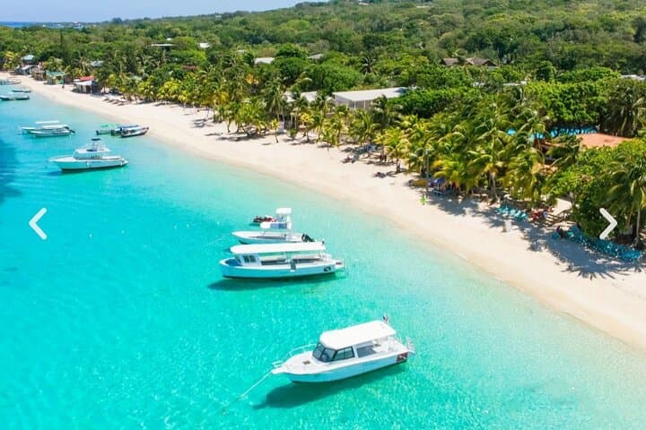 West Bay Beach & Monkey and Sloth Sanctuary Day Tour — Roatán Beach and Wildlife Excursion photo 3
