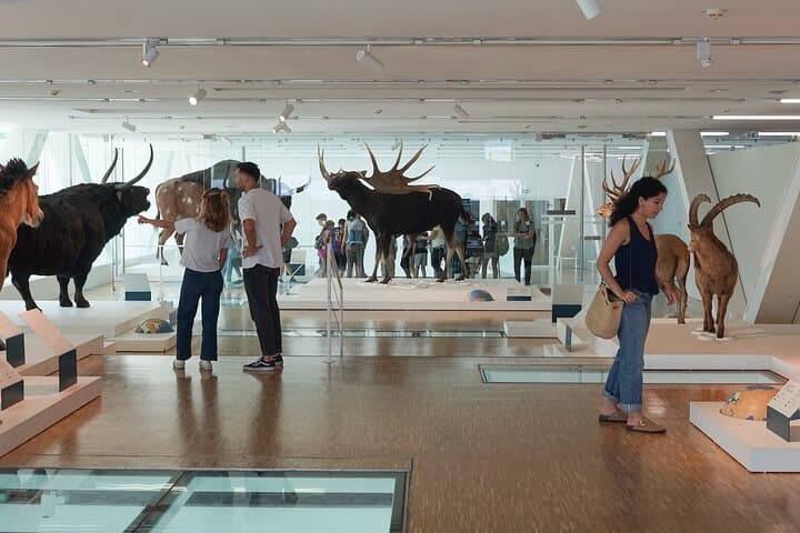 Visiting Cosquer Cave: Marseille's Recreated Prehistoric Grotto and Audio Tour photo 6