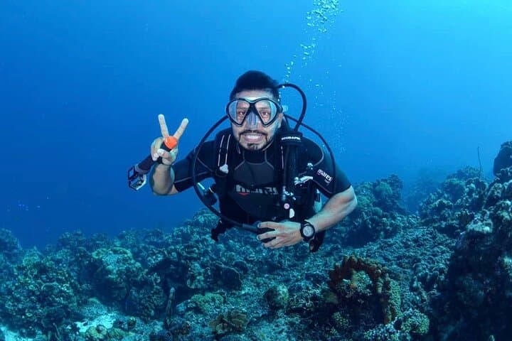 Cartagena Two-Tank Caribbean Diving with Lunch, Dance & Shore Pickup