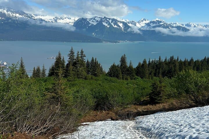 Mount Marathon Bowl Guided Hike — Seward Views & Race History photo 4