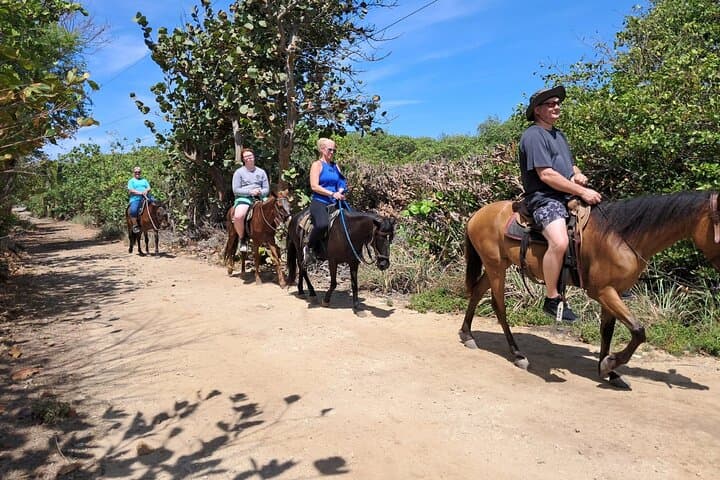 Roatán Half-Day: Zipline, Sanctuary, Horseback Ride & West Bay Snorkel