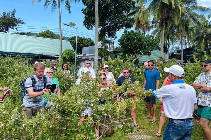 Unveiling Phu Quoc: Southern Discovery Tour photo 6