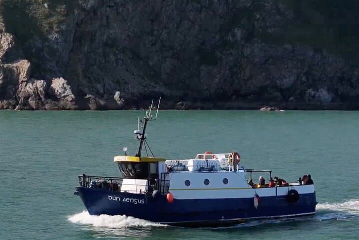 Howth Cliffs and Ireland's Eye Ferry: Puffins, Seals & Dublin Bay Views photo 2