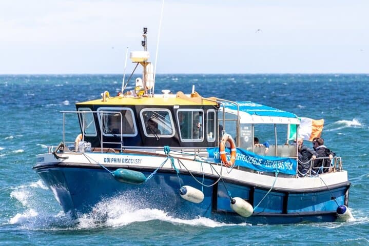 Howth Cliffs and Ireland's Eye Ferry: Puffins, Seals & Dublin Bay Views photo 6
