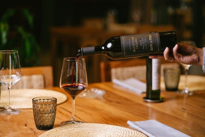 Full-Day Maipú Winery Tour and Lunch from Mendoza — Tasting, Tour, and Olive Farm