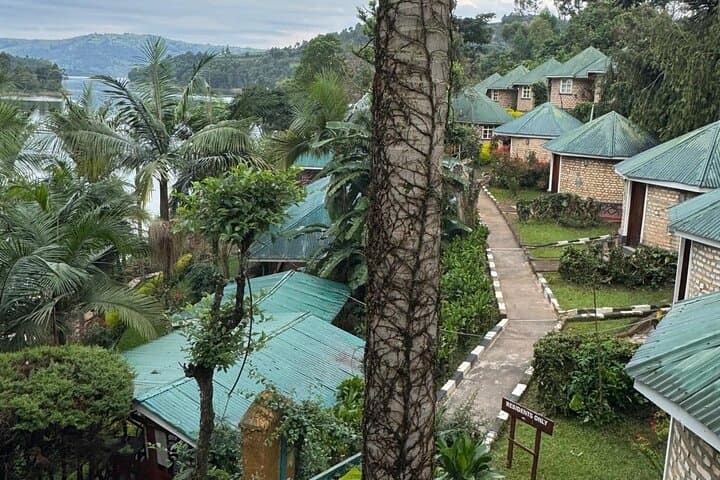 4-Day Uganda Gorilla Trekking: Bwindi Gorillas & Mgahinga Golden Monkeys photo 6