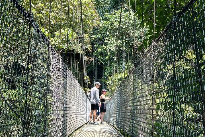 Arenal Mistico Hanging Bridges: Canopy Walk and Wildlife Near La Fortuna photo 2