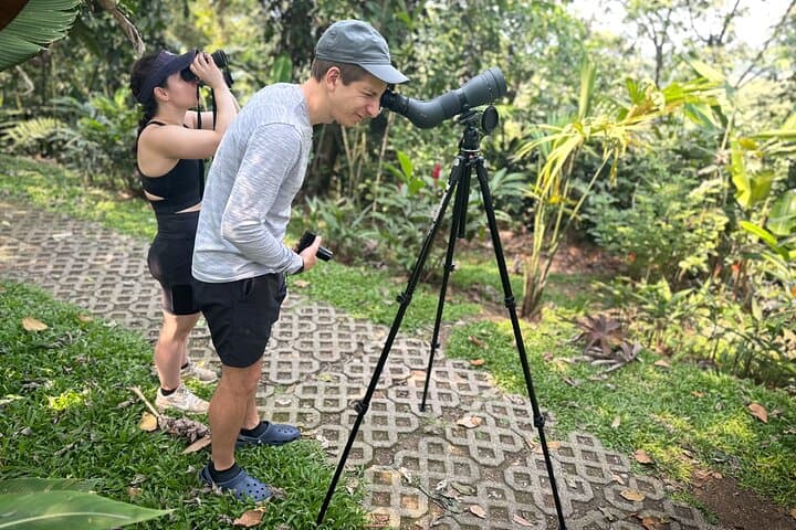 Arenal Mistico Hanging Bridges: Canopy Walk and Wildlife Near La Fortuna photo 3