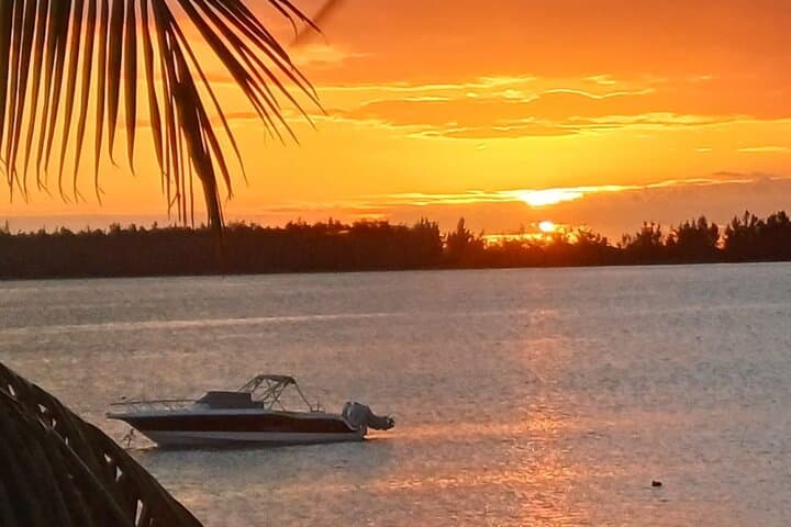 Early-Morning Dolphin & Snorkel Cruise from La Gaulette photo 6