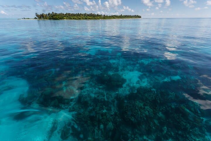 Full-Day Private Snorkel at Hol Chan Marine Reserve & Shark Ray Alley from Caye Caulker photo 2