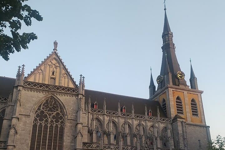 Liège Highlights: Half-Day Private Walking Tour of the Historic Centre photo 5