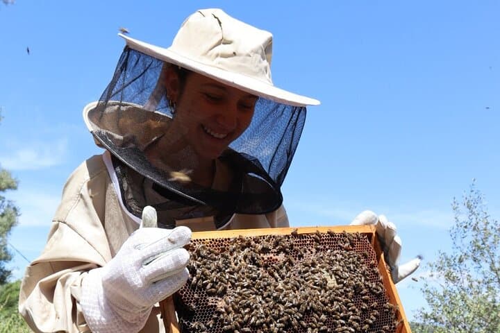 Beekeeper for a Day in Lefkada — Melissini Honey Experience photo 5