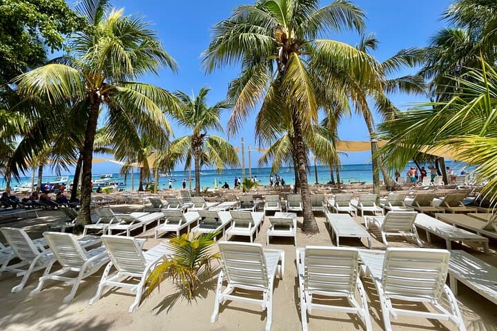 Roatán Zipline, Snorkeling & West Bay Beach Day Trip photo 6