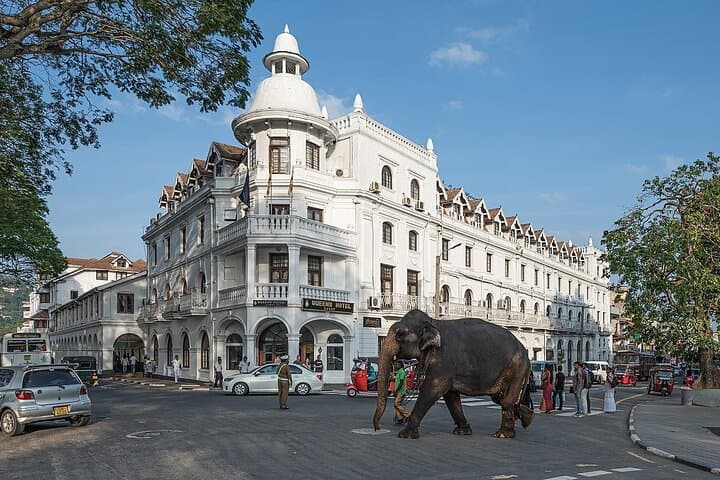 Everything in Kandy: Flexible Cultural & Nature Tours Around Kandy, Sri Lanka