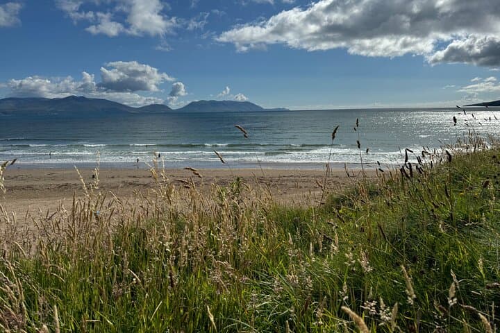 Explore the Wild Atlantic Way: Private Tour to Dingle and Slea Head from Cork photo 5