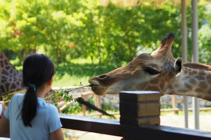 Explore Teotihuacan: Ancient Pyramids and a Wildlife Safari in One Day photo 3