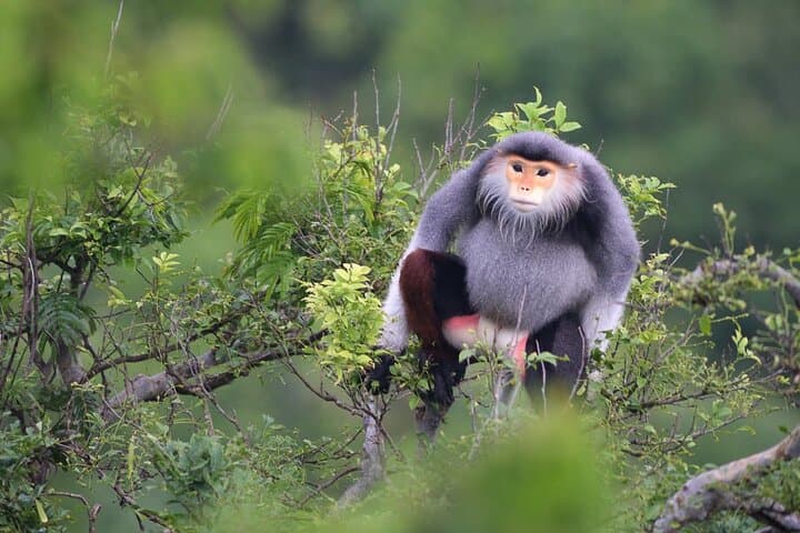 Marble Mountains, Monkey Mountain & Am Phu Cave Half-Day Tour from Da Nang photo 6