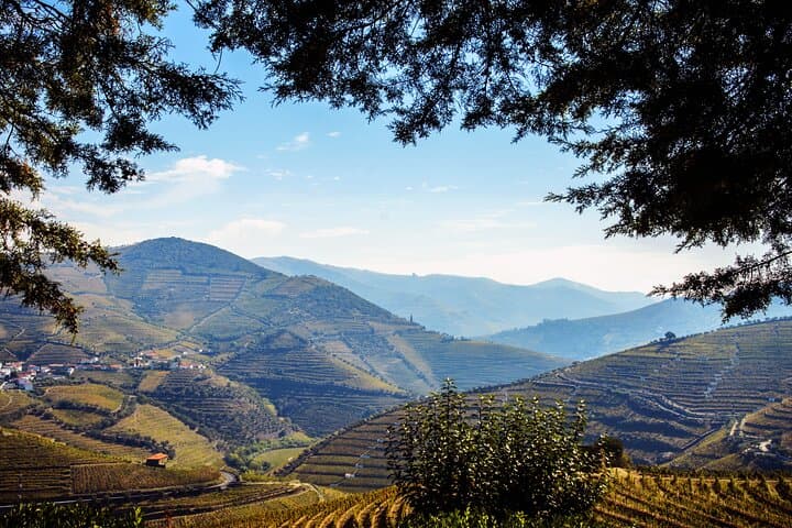 Douro Jeep Tour to the Serra: Wine, Viewpoints & Traditional Lunch photo 6