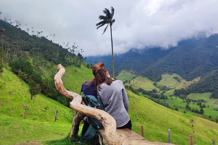 Cocora Valley & Salento Coffee Farm: Private Full-Day Tour from Salento photo 4