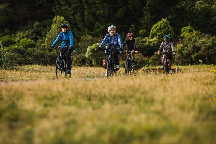 Remutaka Rail Trail eBike Explorer: 28km Shore Excursion from Wellington photo 5