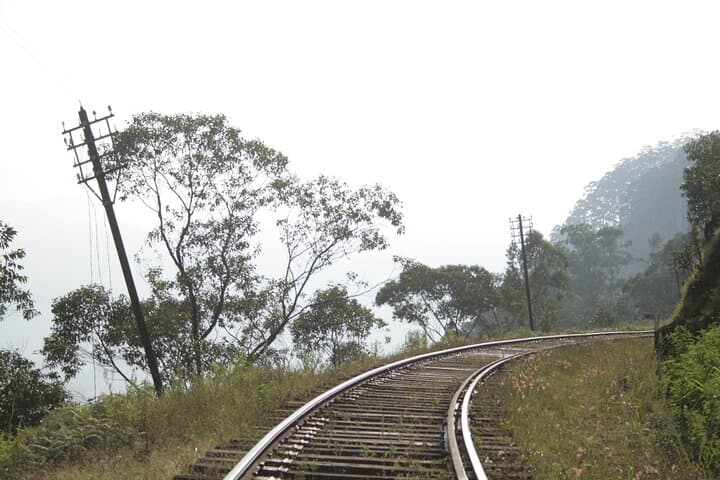 Highlands to Coast: 3-Day Private Tour Through Sri Lanka’s Tea Country and Galle photo 6