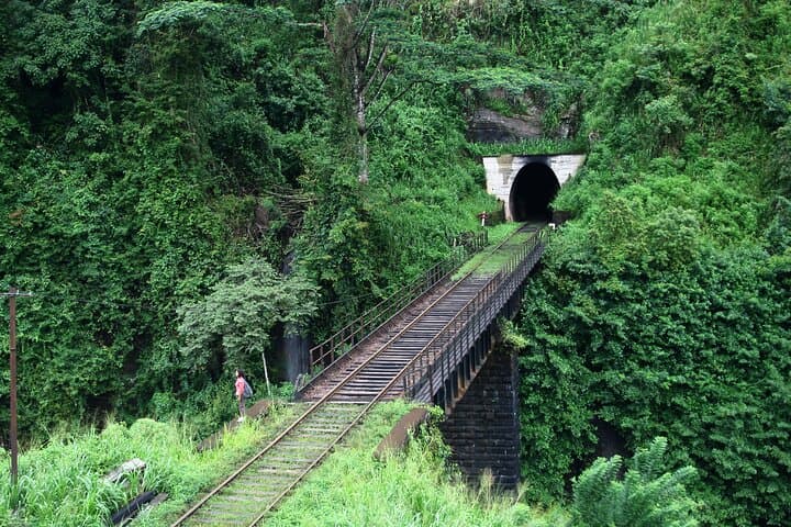 Highlands to Coast: 3-Day Private Tour Through Sri Lanka’s Tea Country and Galle