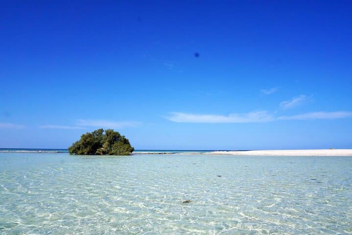 Full-Day Snorkeling Trip to Hamata & Qulaan Islands from Marsa Alam