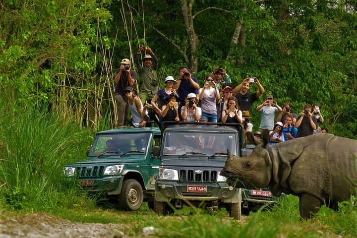 2-Night Chitwan Safari: Jeep, Canoe & Tharu Culture