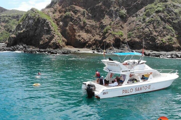 Snorkel with Turtles and Watch Humpbacks in Machalilla National Park photo 6