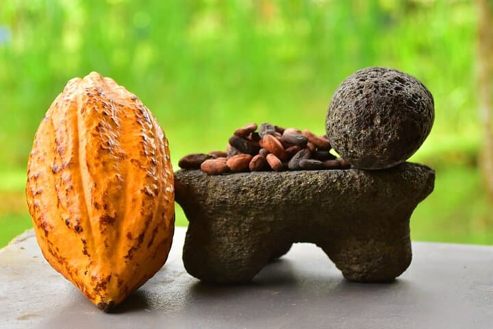 Tarcoles Crocodiles & Hands-On Chocolate: Puntarenas Shore Excursion photo 2